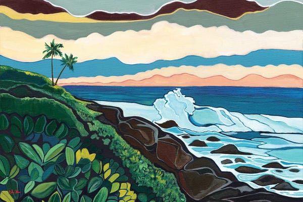 Hawaii: Coastline On Hawaii Island by Hidden Hale