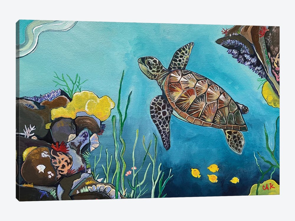 Honu Under The Sea by Hidden Hale 1-piece Canvas Print