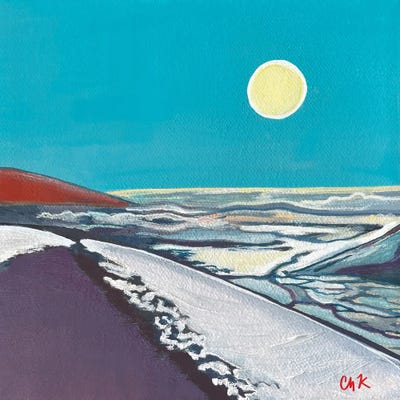 Mauna Kea In The Snow by Hidden Hale framed canvas print