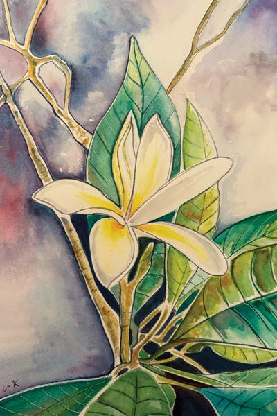 Hidden Hale: Plumeria Flower by Hidden Hale