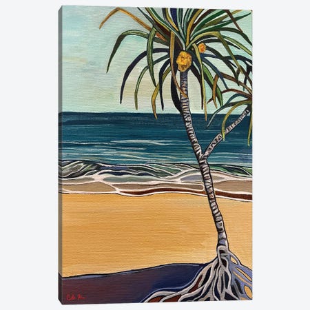 Hala Tree By The Sea Canvas Print #HDH8} by Hidden Hale Canvas Wall Art