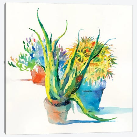 Succulent Trio I Canvas Print #HDL15} by Theresa Heidel Canvas Art Print