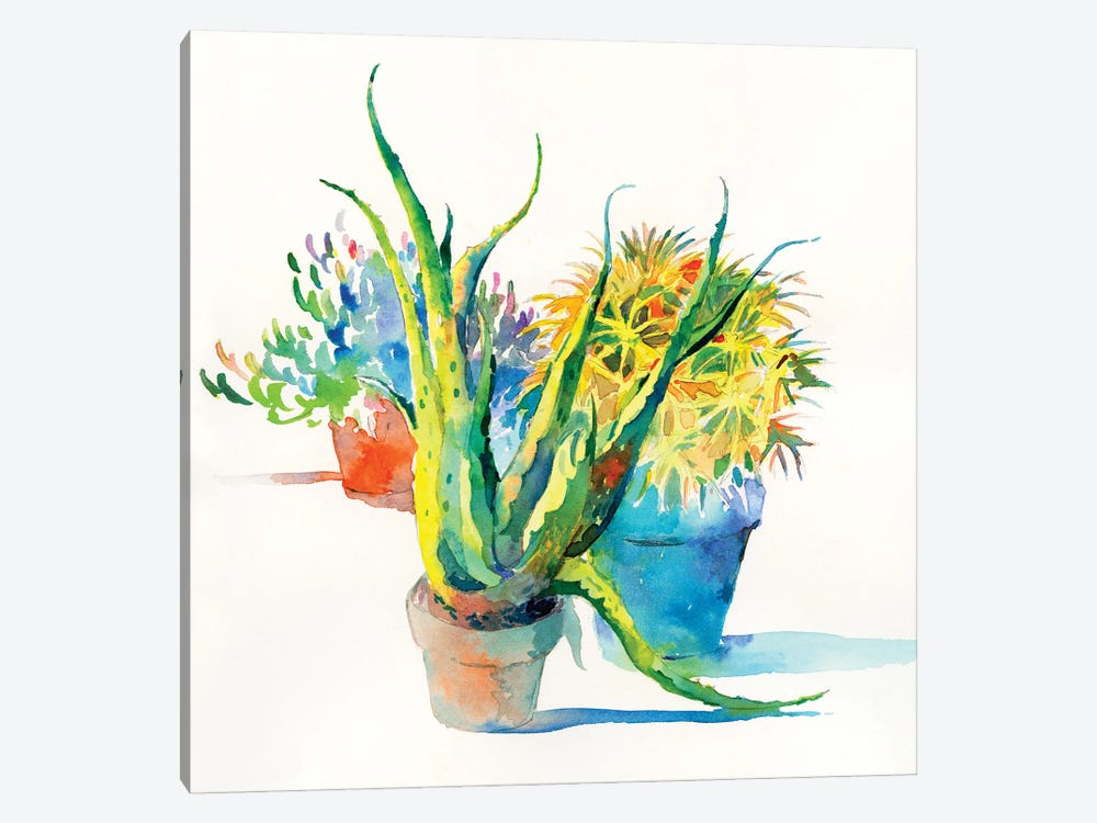 Succulent Trio I by Theresa Heidel 1-piece Canvas Artwork