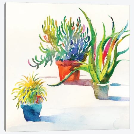 Succulent Trio II Canvas Print #HDL16} by Theresa Heidel Canvas Art Print