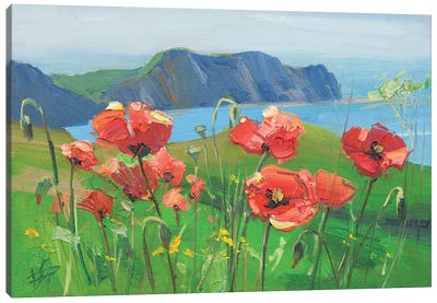 Field Poppies Canvas Art Print - Cliff Art