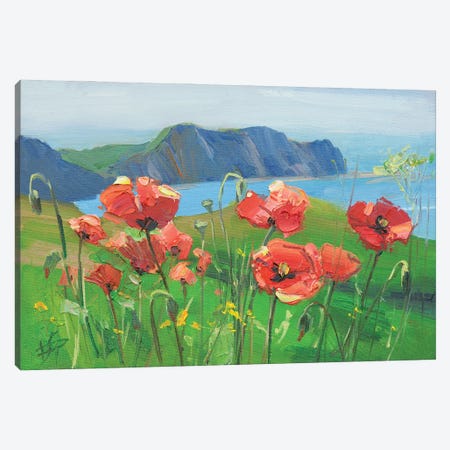 Field Poppies Canvas Print #HDV139} by CountessArt Canvas Art Print
