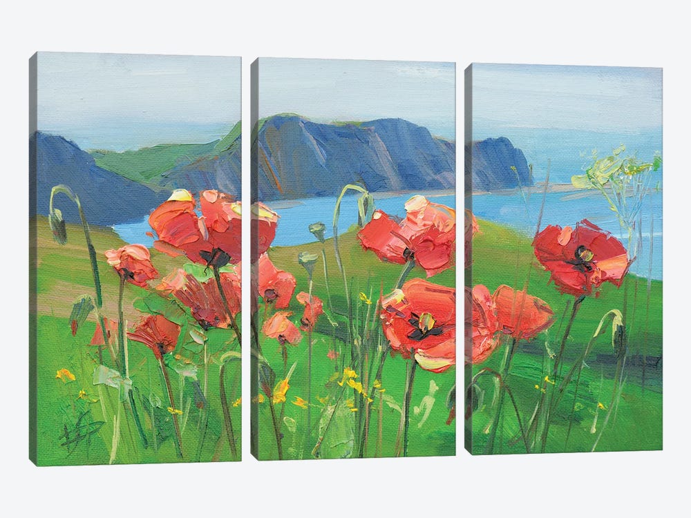 Field Poppies 3-piece Canvas Print