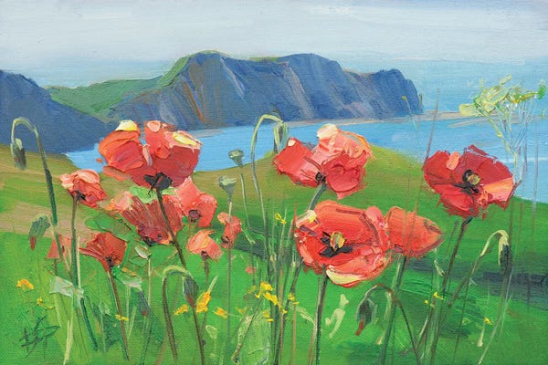 Cliffs: Field Poppies by CountessArt