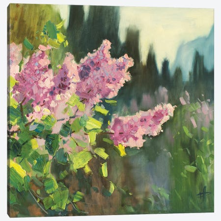 Lilac IV Canvas Print #HDV171} by CountessArt Canvas Print