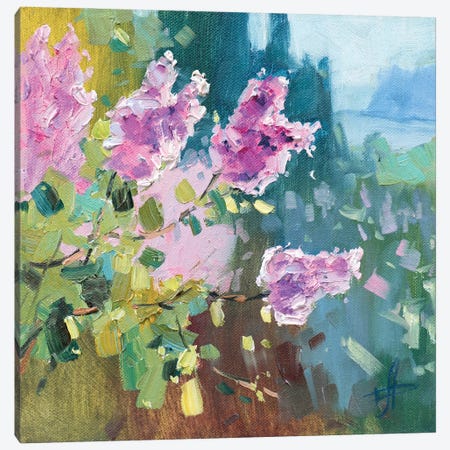 Lilac VII Canvas Print #HDV173} by CountessArt Art Print