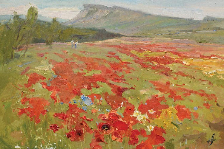 Poppy Field