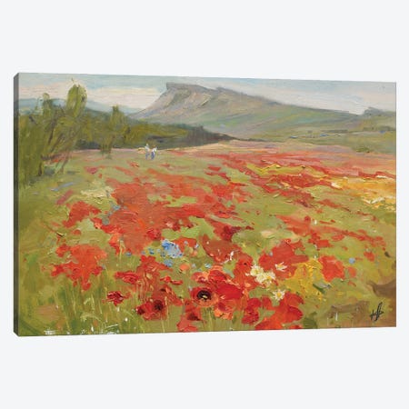 Poppy Field Canvas Print #HDV210} by CountessArt Canvas Art