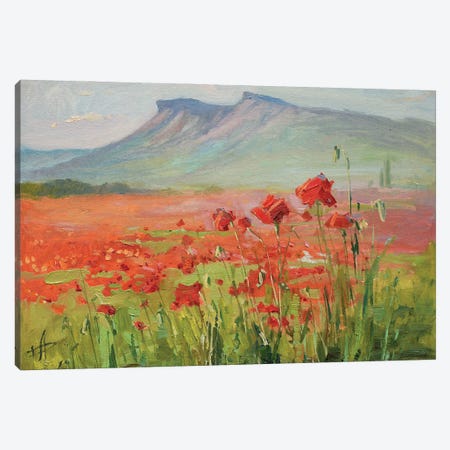Poppy Field Evening Canvas Print #HDV211} by CountessArt Canvas Wall Art