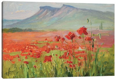 Poppy Field Evening Canvas Art Print - CountessArt