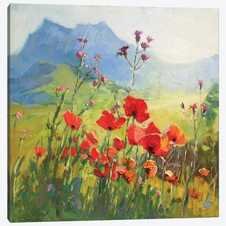 Poppy Field Under The White Cliffs Canvas Print #HDV212} by CountessArt Canvas Wall Art