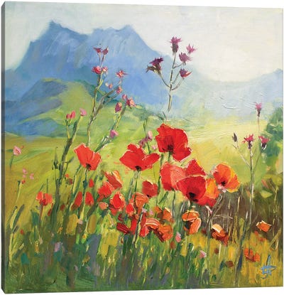 Poppy Field Under The White Cliffs Canvas Art Print - CountessArt