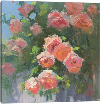 Roses II Canvas Art Print - CountessArt