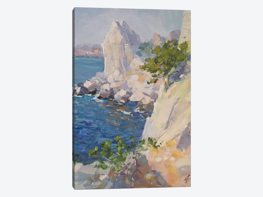 Swan Wing Cliff by CountessArt 1-piece Canvas Print