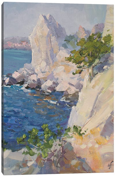 Swan Wing Cliff Canvas Art Print - Rocky Beach Art