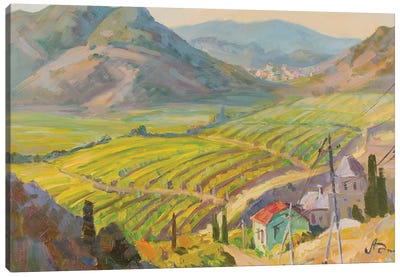 Vineyard In Mountains Canvas Art Print - Vineyard Art
