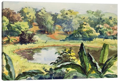 Yangon Pond Canvas Art Print - CountessArt