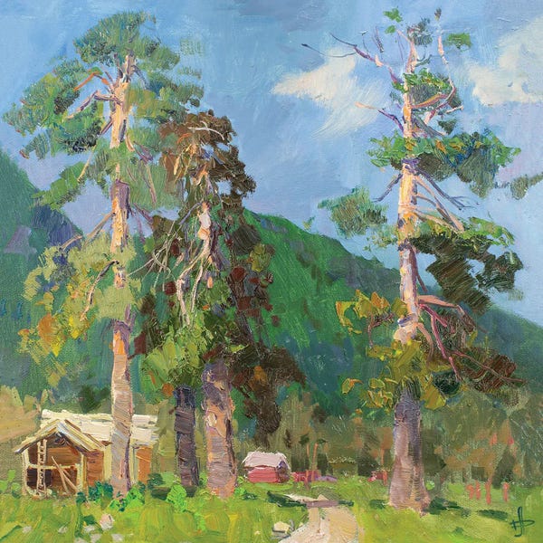 Arkhyz. Sun After Rain