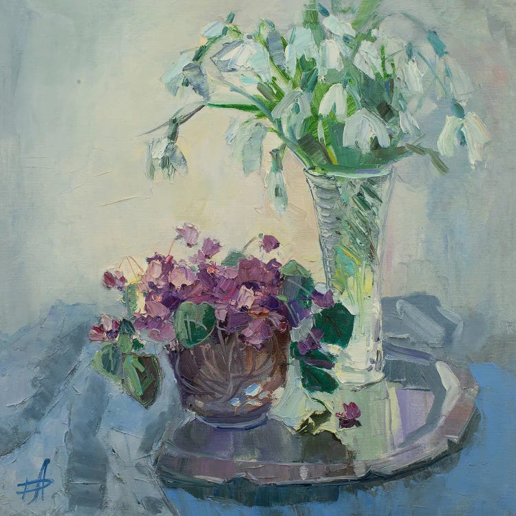 Cyclamen And Snowdrops Still-Life