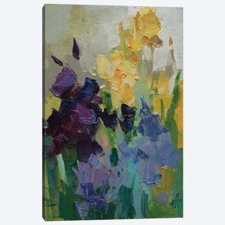 Irises Canvas Print #HDV38} by CountessArt Canvas Art
