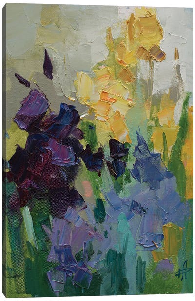 Irises Canvas Art Print - Textured Florals