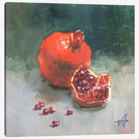 Pomegranate Canvas Print #HDV405} by CountessArt Canvas Wall Art