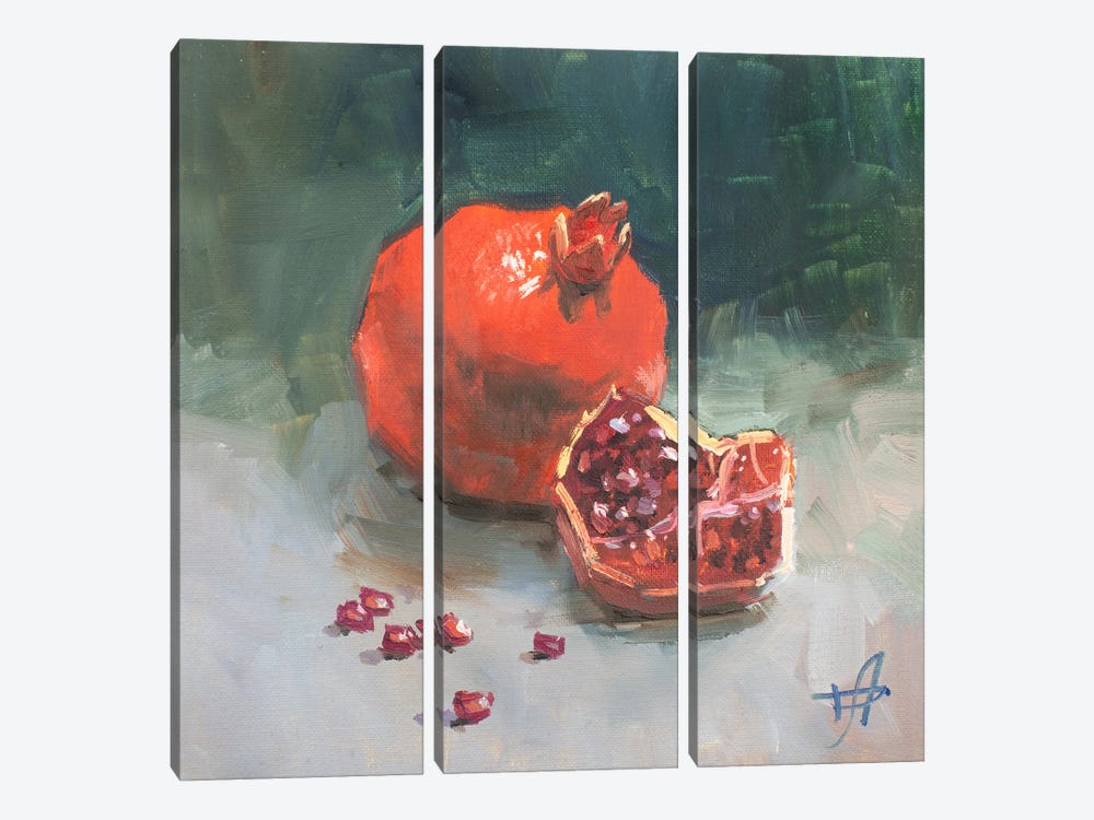 Pomegranate by CountessArt 3-piece Canvas Wall Art