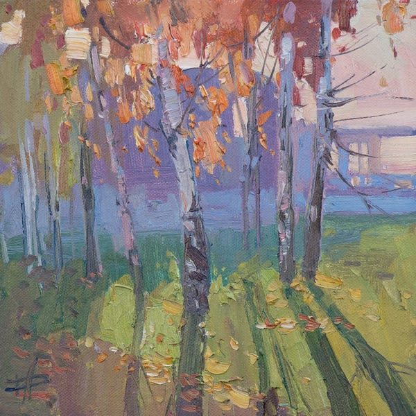 Birch Trees: Uglich. Shadows Of Birch Trees by CountessArt