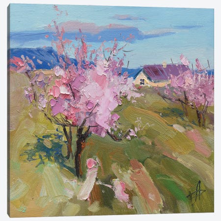 Spring Blossoming Peach Canvas Print #HDV63} by CountessArt Art Print