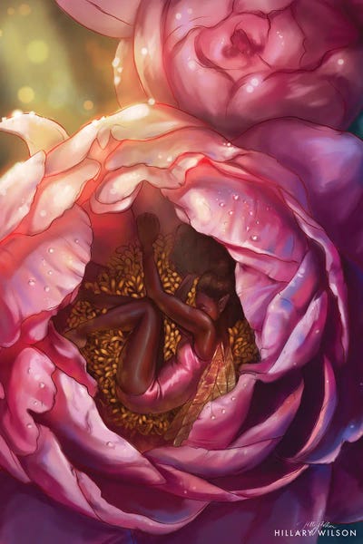 Fairies: Slumber by Hillary D Wilson