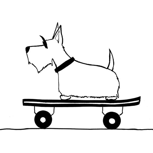 Kids Sports Art: Fur On Wheels II by Hugo Edwins