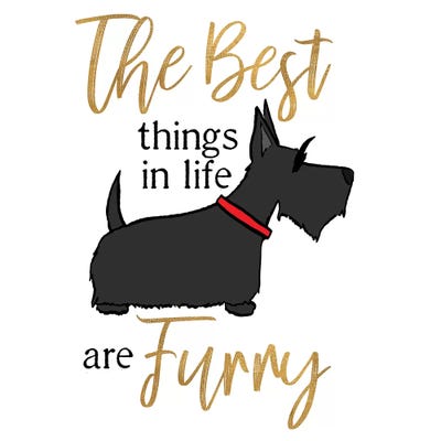 Puppy Positive IV by Hugo Edwins canvas print