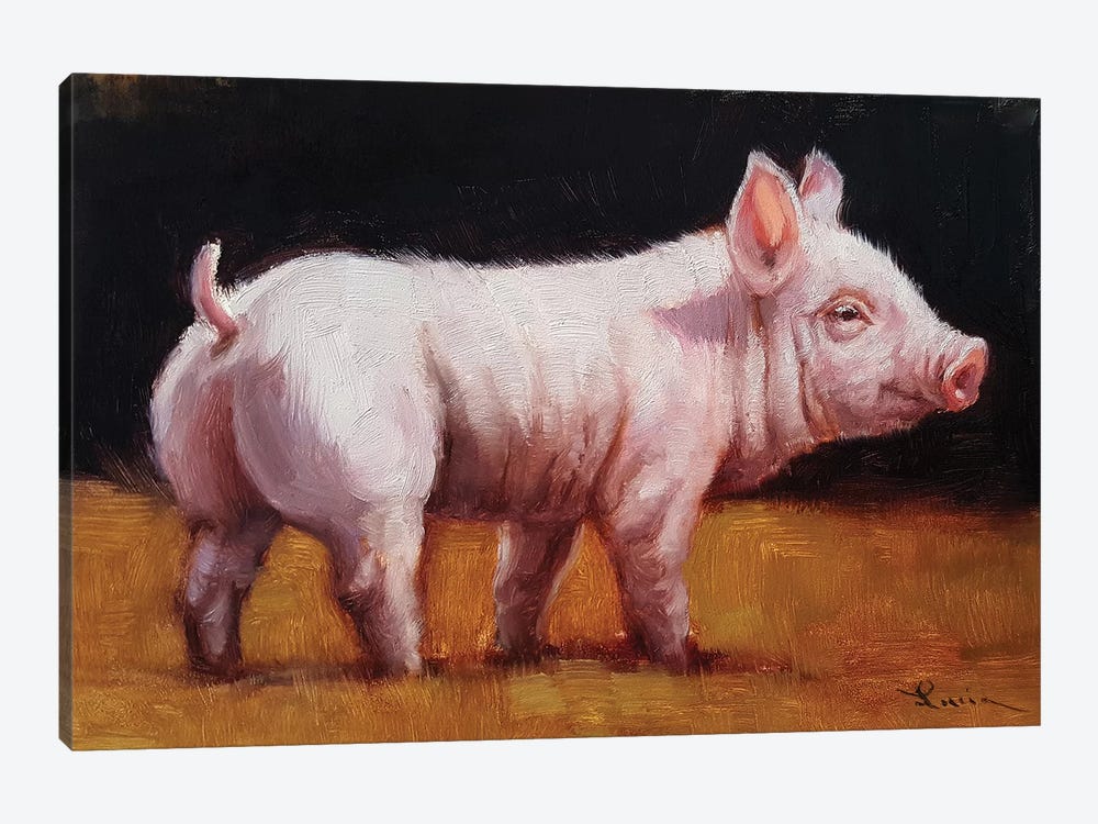Wilbur by Lucia Heffernan 1-piece Canvas Art
