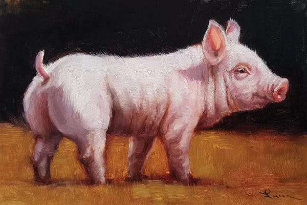 Pigs: Wilbur by Lucia Heffernan