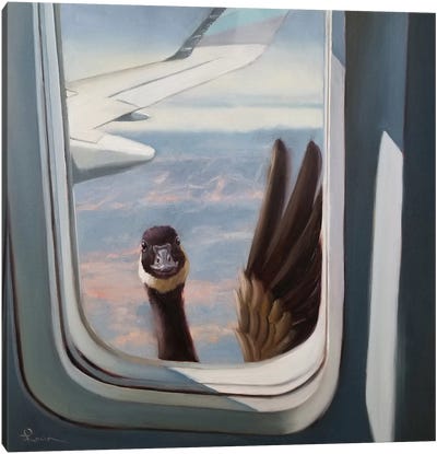 Friendly Skies Canvas Art Print - Goose Art