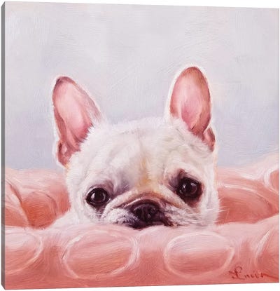 My Happy Place Canvas Art Print - French Bulldog Art