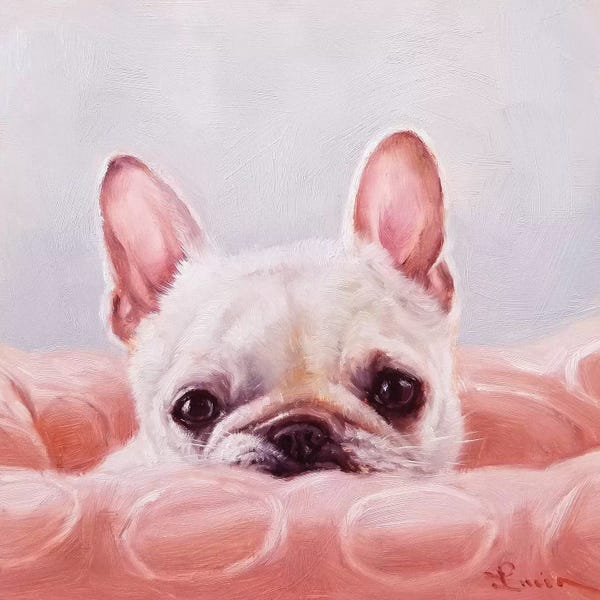 French Bulldogs: My Happy Place by Lucia Heffernan