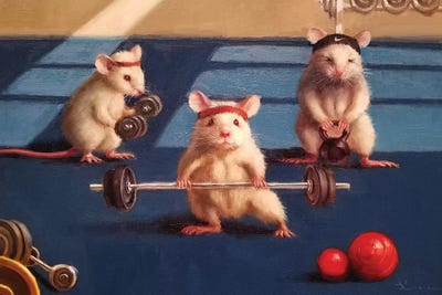Rats