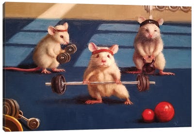 Gym Rats Canvas Art Print - Rats