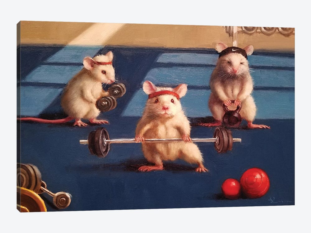Gym Rats by Lucia Heffernan 1-piece Canvas Wall Art