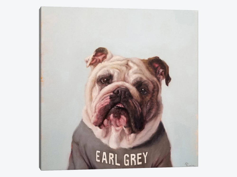 Earl Gray by Lucia Heffernan 1-piece Canvas Art