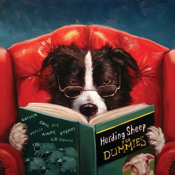 Reading: Herding Sheep by Lucia Heffernan