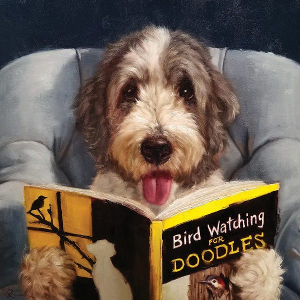 Reading: Ornithology For Doodles by Lucia Heffernan