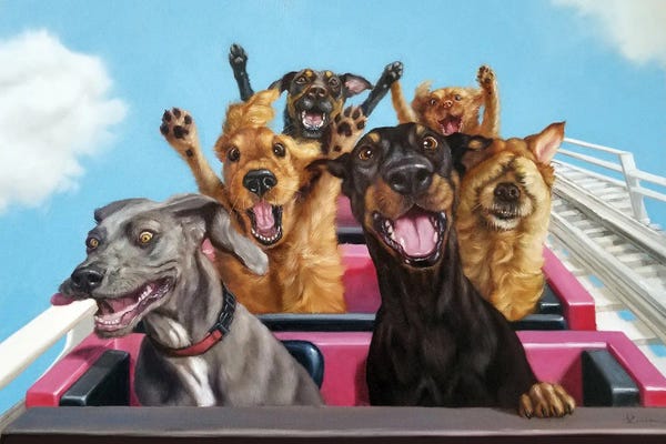 Amusement Parks: Thrill Seekers by Lucia Heffernan