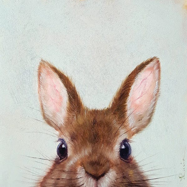 Rabbits: Peek a Boo by Lucia Heffernan