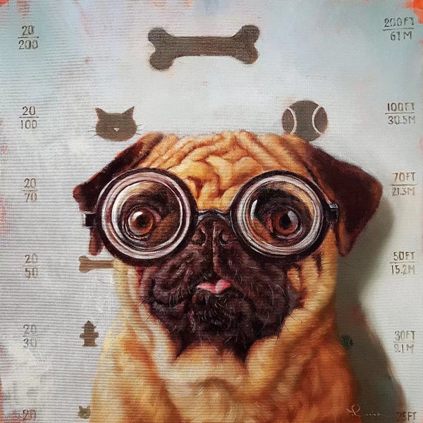 Pugs: Canine Eye Exam by Lucia Heffernan